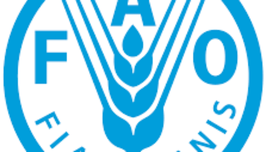 National Project Coordinator – GCF Vacancy Job Ref: VACFAO0884-35