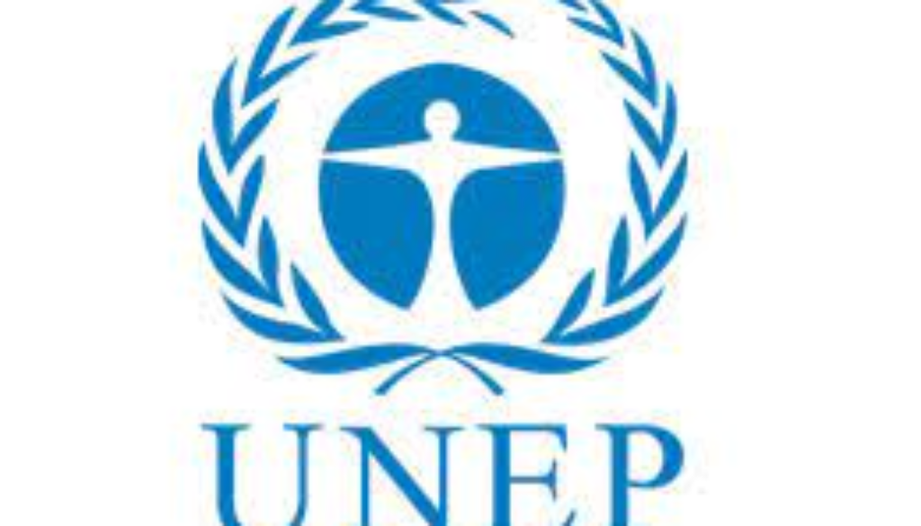 Consultant for the Development of a Circular Economy Roadmap and Action Plan Vacancy Job Ref: VACUNEP0884-20